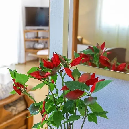 House Bruno Prázdninový dům Savar